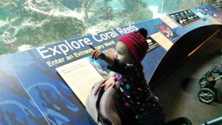 Eloise Loves The New York Aquarium